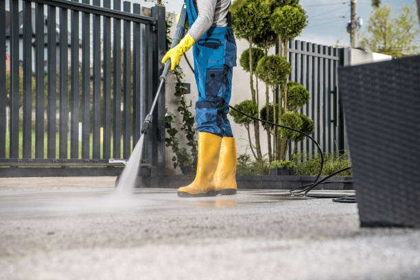 Best Pressure Washing Company Near Me  in Johnsburg, IL