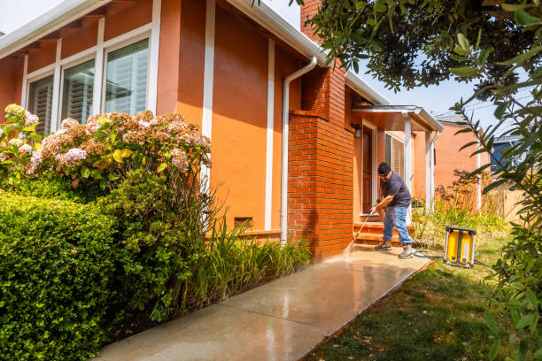 Best Affordable Pressure Washing  in Johnsburg, IL